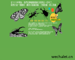 台湾木生昆虫博物馆