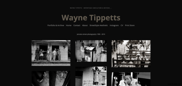 Wayne Tippetts
