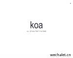 Koa (koajs) -- 基于 Node.js 平台的下一代 web 开发框架 | Koajs 中文文档