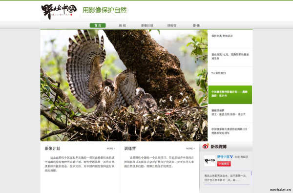 野性中国 · 用影像保护自然