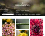 Free Nature Stock – 下载免费的照片，视频和矢量