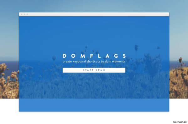 DomFlags - devtools extension to create keyboard shortcuts to DOM elements