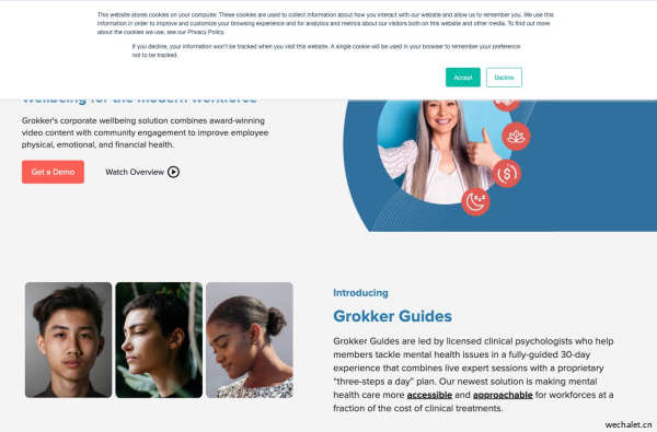 Grokker: Corporate Wellbeing Platform