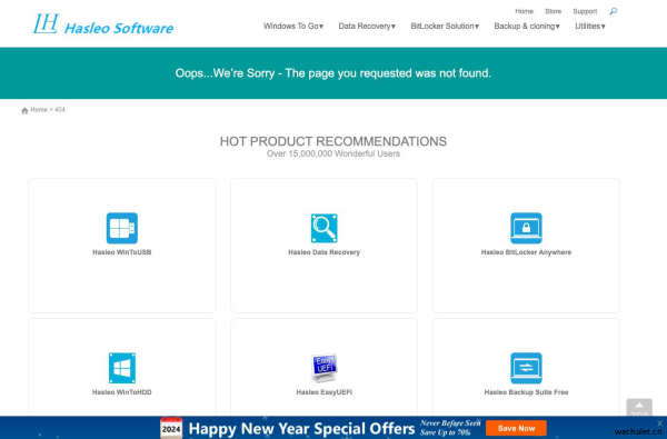 Hasleo Software - The page you requested was not found!