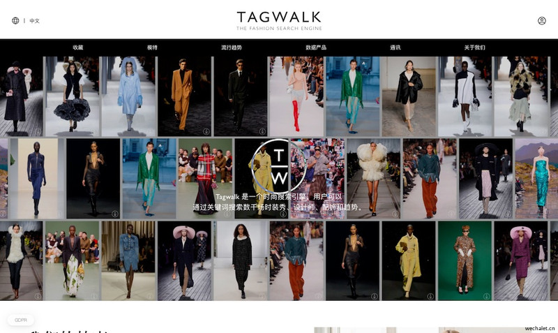 Tagwalk：时尚搜索引擎